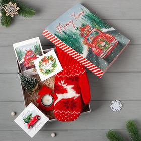 Новогодний подарочный набор Merry Xmas, варежки р-р 19 и акс (4 предм) Ош