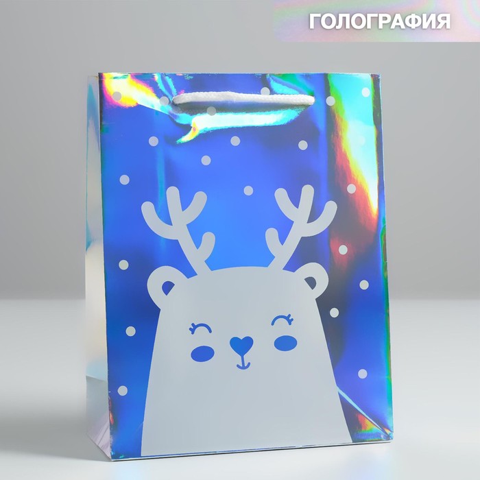 

Пакет голография вертикальный «Персонаж», MS 23 × 18 × 10 см