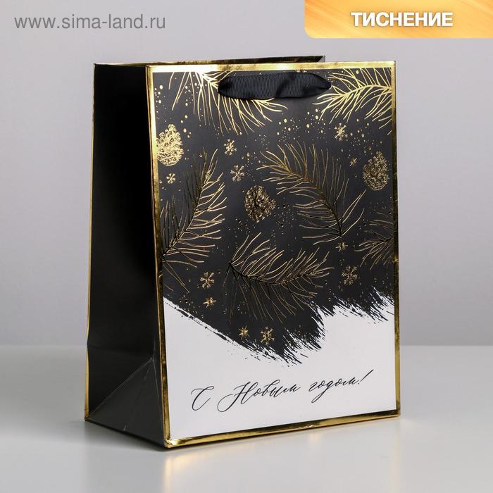

Пакет ламинированный вертикальный «Сказочная ночь», MS 18 × 23 × 10 см