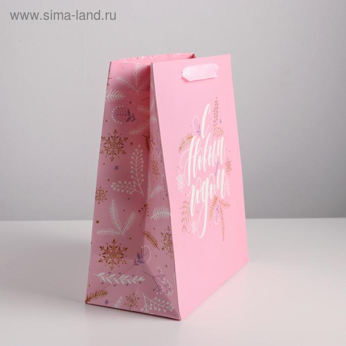 

Пакет ламинированный вертикальный «С Новым годом», ML 23 × 27 × 11,5 см