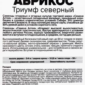 

Саженец Абрикос Триумф северный 1 шт , Весна 2021