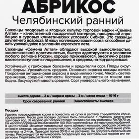 

Саженец Абрикос Челябинский ранний 1 шт , Весна 2021