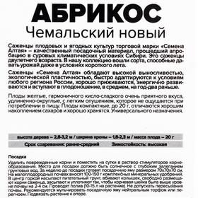 

Саженец Абрикос Чемальский новый 1 шт , Весна 2021