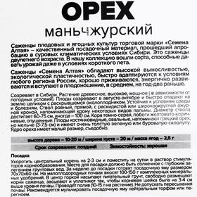 

Саженец Орех Маньчжурский (1 сорт), 1 шт, Весна 2022