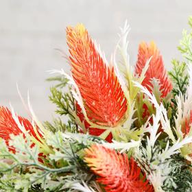 

Бонсай в горшке "Гревиллея" 10х20 см, микс