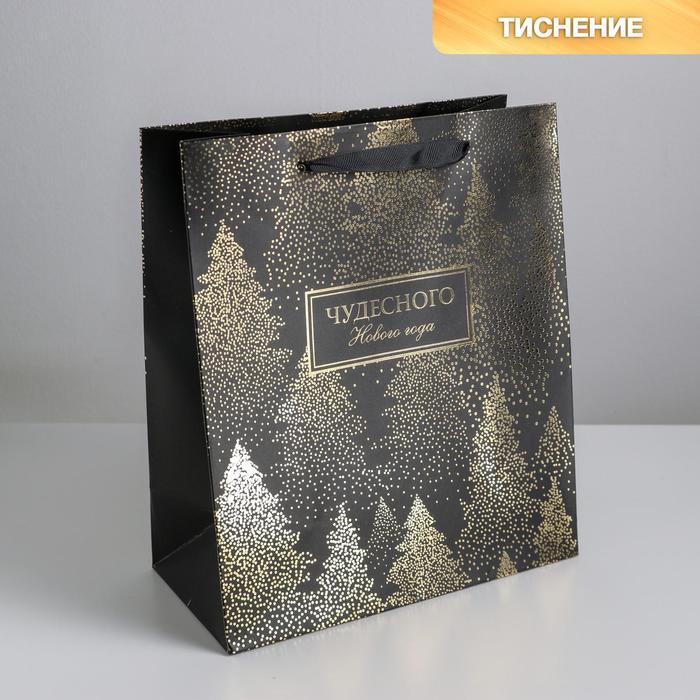 

Пакет ламинированный вертикальный «Чудесного Нового года», ML 23 × 27 × 11,5 см