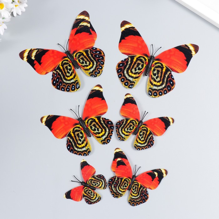 Магнит пластик под ткань Бабочки двойные, блеск н-р 6 шт МИКС h= 10;10,5;5;6,7;8,4;6,7 см магнит пластик бабочки двойные крылья блеск шампань набор 12 шт