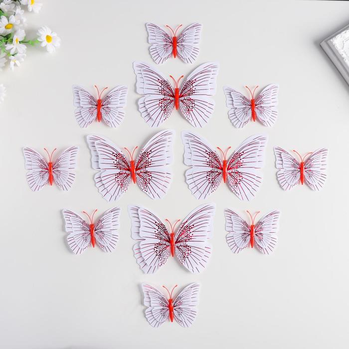 Магнит пластик "Бабочки двойные крылышки" набор 12 шт МИКС