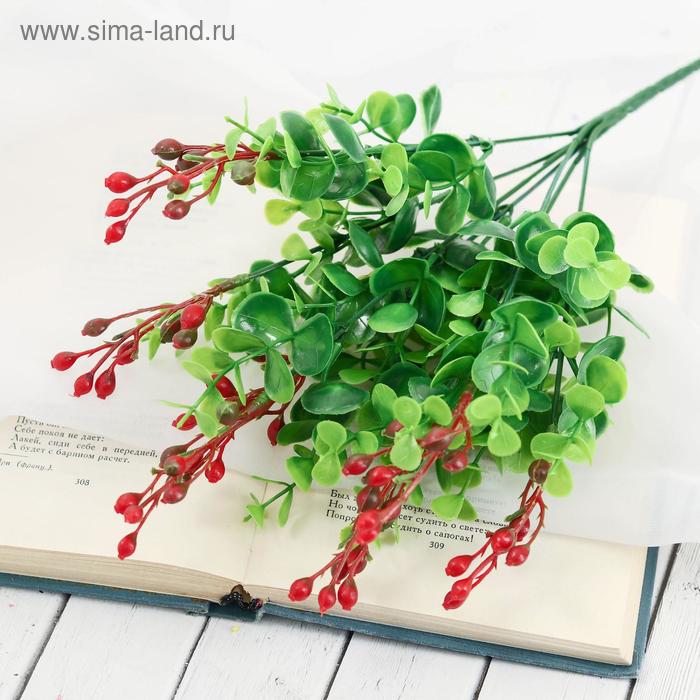 

Букет "Пилеа" 30 см, микс