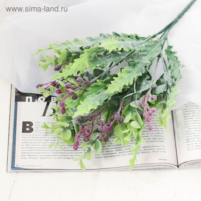 

Букет "Калатея" 30 см, микс