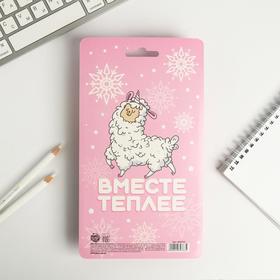 

Канцелярский набор "Люблю зиму", ручка, ластики 2 шт, блокнот