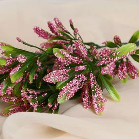 

Букет "Пхулантус" 30 см, микс