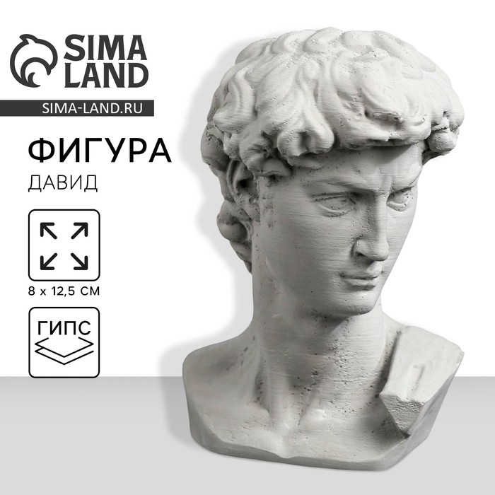 

Гипсовая фигура "Голова Давида" 8 х 12,5, серая
