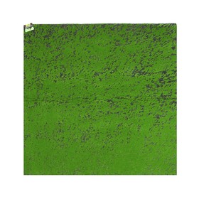 Мох искусственный, декоративный, полотно 1 × 1 м, зелёный на чёрном Ош