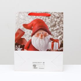 

Пакет ламинированный, 26 x 32 x 12 см