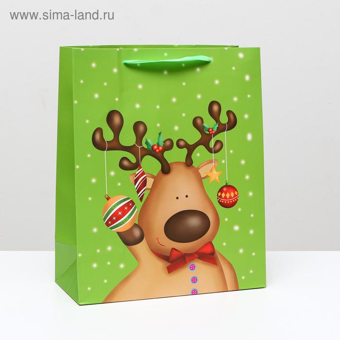 Пакет ламинированный Подарок 26 x 32 x 12 см 69₽