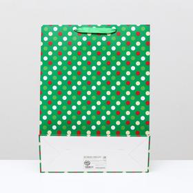 

Пакет ламинированный, 31 x 42 x 12 см