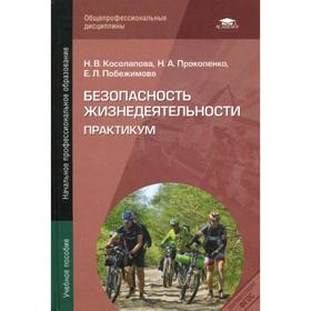 

Безопасность жизнедеятельности: Практикум. Косолапова Н.В.