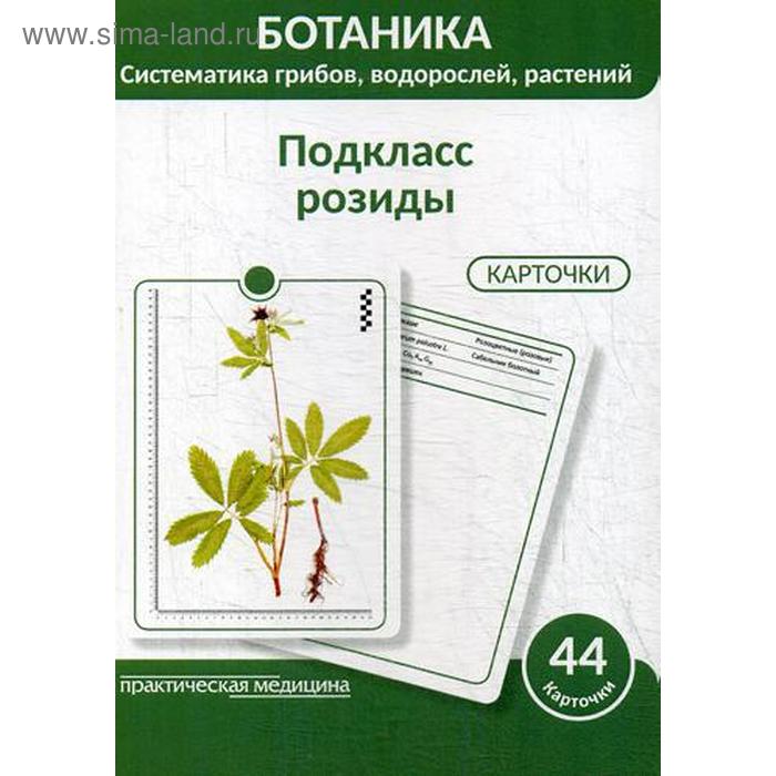 

Ботаника. Систематика грибов, водорослей, растений. Подкласс розиды