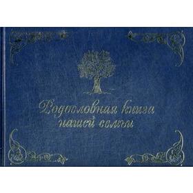 

Родословная книга нашей семьи (синяя). Кондахсазова Д.