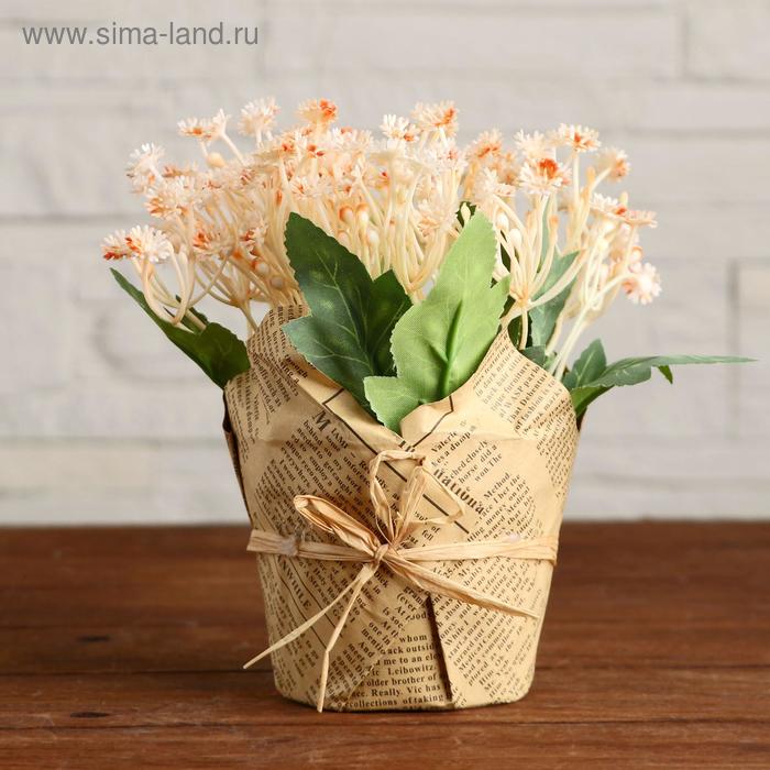 

Бонсай в горшке "Малютки" 10х15 см, микс