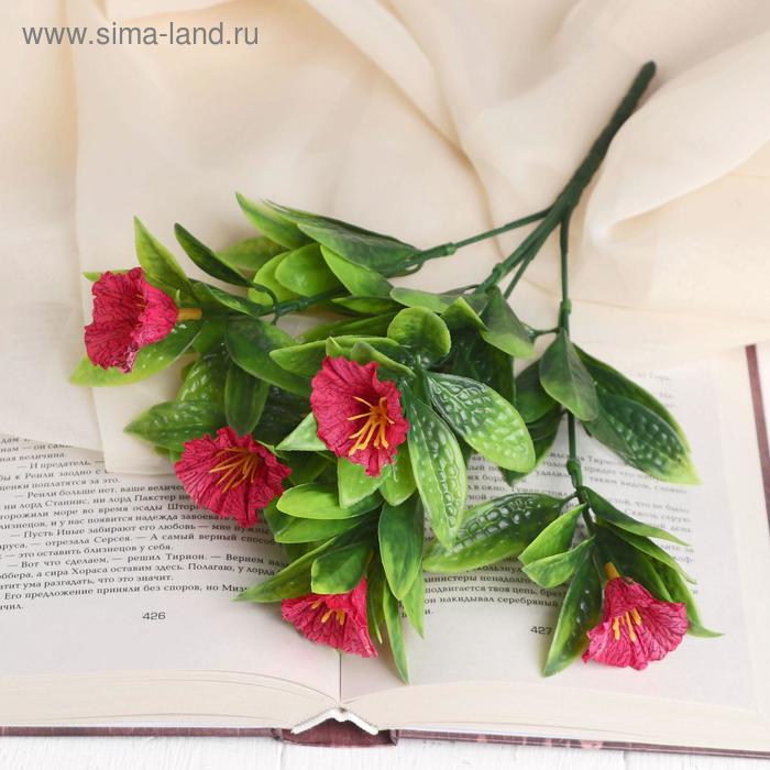 

Букет "Ночная красавица" 28 см, микс