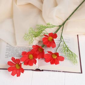 Цветы искусственные 'Космея Эвери' 6,5х48 см, красный Ош