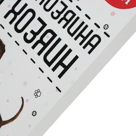 

Картина на холсте "Собака - хозяин. Боксёр" 38х48 см