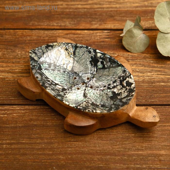 

Мыльница "Черепашка Агун" 15х10х2 см дерево