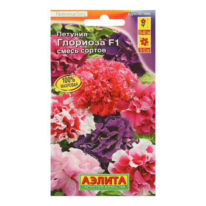 Semillas de Petunia, flor grande de felpa, mezcla de colores, 10 Uds.| | -  AliExpress