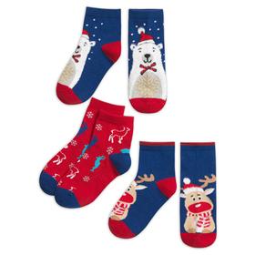 

Носки для мальчиков, размер 20-22, цвет синий, бордовый, синий, 3 пары