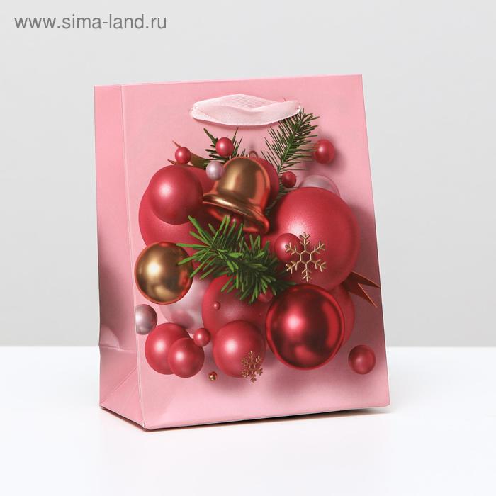 Пакет ламинированный 