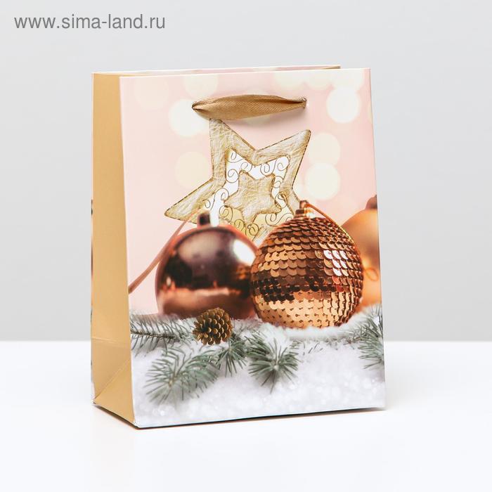 Пакет ламинированный 