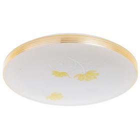 

Люстра с ПДУ CL-176/35 72Вт LED 2700-6500К диммир., с ночником, белый 39х8 см
