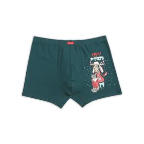 

Трусы мужские, размер XXL, цвет зелёный