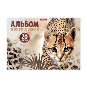 Альбом для рисования А4, 20 листов на клею Wild Cat, обложка мелованный картон, жёсткая подложка, блок 120 г/м2