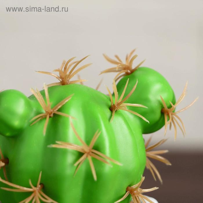 

Бонсай "Кактус-шар" галька, 6х9 см