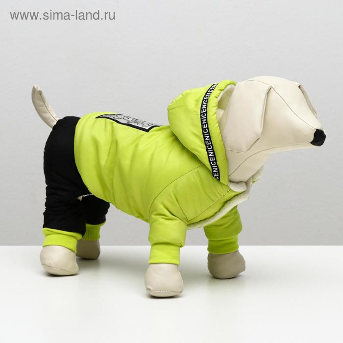 

Комбинезон Dog Care, размер S (ДС 23, ОШ 22, ОГ 33 см), зелёный