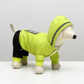 

Комбинезон Dog Care, размер XL (ДС 34, ОШ 31, ОГ 47 см), зелёный