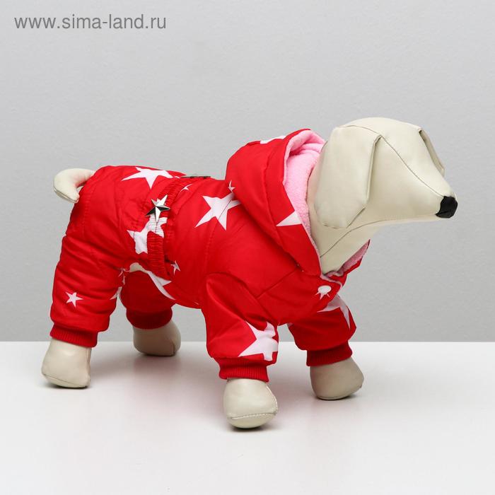 

Комбинезон "Звездочки", S (ДС 20 см, ОШ 23 см, ОГ 32 см), красный