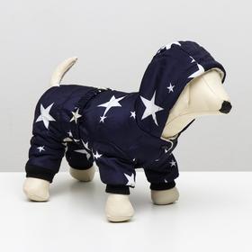 

Комбинезон "Звездочки", XL (ДС 35 см, ОШ 32 см, ОГ 49 см), синий