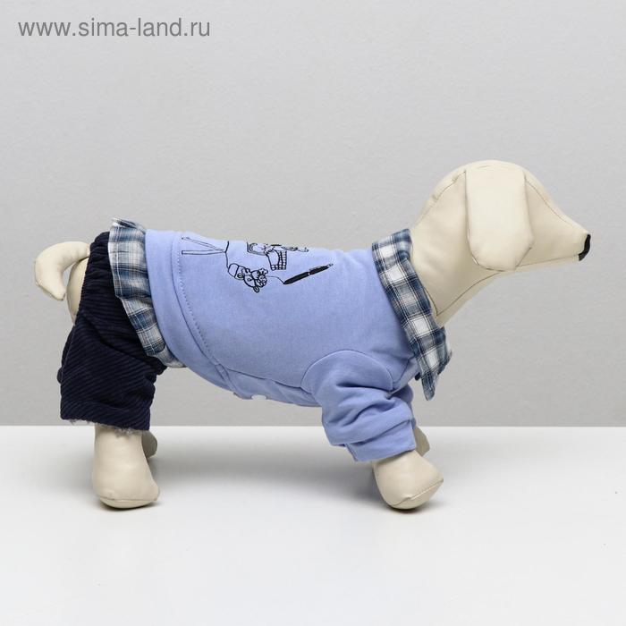 

Комбинезон "Рисунок", XL (ДС 35 см, ОШ 32 см, ОГ 49 см)