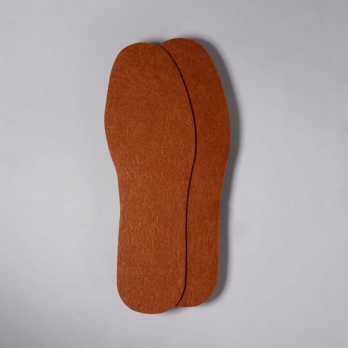 фото Стельки для обуви, универсальные, р-р ru до 45 (р-р пр-ля до 46), 28,5 см, пара, цвет коричневый onlitop