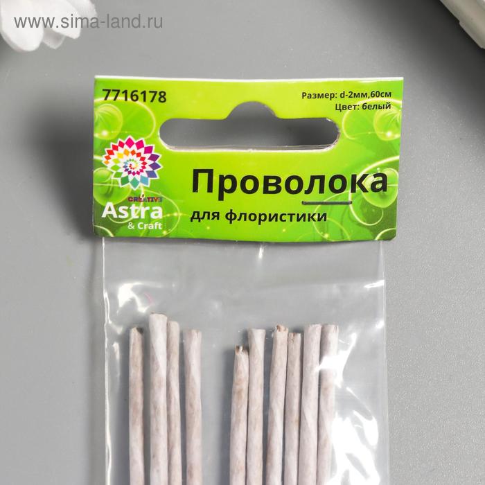 

Набор проволоки для творчества d-2 мм, 60 см, 10 шт, белый