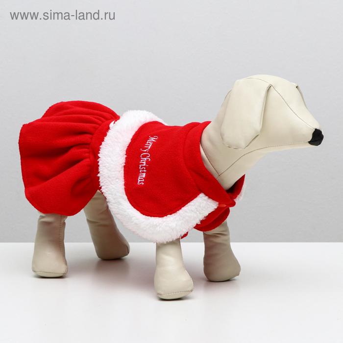 

Новогодний костюм для девочки, M (ДС 25 см, ОГ 37 см, ОШ 26 см)