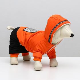 

Комбинезон Dog Care, размер XXL (ДС 37, ОШ 34, ОГ 52 см), оранжевый