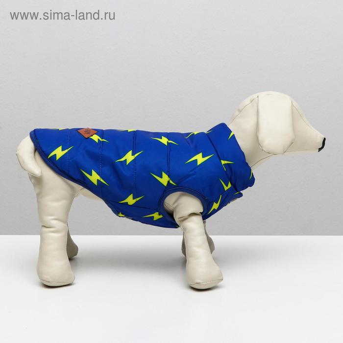 

Куртка для собак "Молния", S (ДС 20 см, ОШ 23 см, ОГ 32 см), ярко-синяя