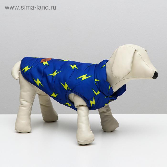 

Куртка для собак "Молния", XL (ДС 35 см, ОШ 32 см, ОГ 49 см), ярко-синяя