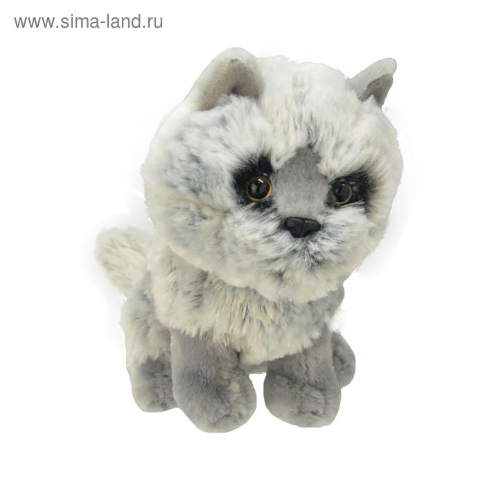 

Мягкая игрушка «Норвежский кот», 20 см