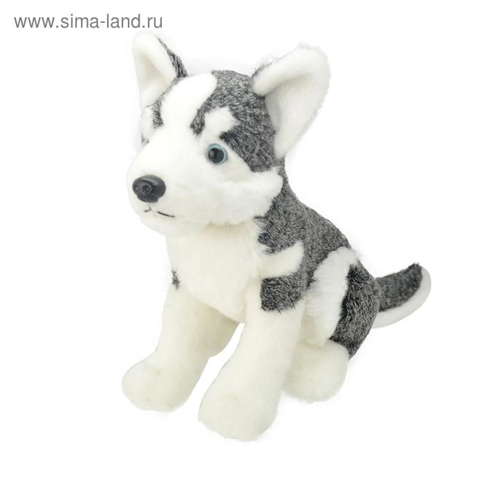 

Мягкая игрушка «Хаски», 20 см